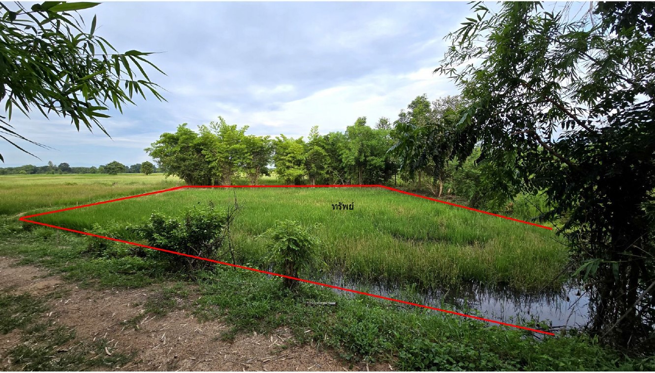 รูปที่ดินว่างเปล่า หนองพระ วังทรายพูน พิจิตร