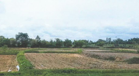 รูปที่ดินว่างเปล่า ลำพาน เมืองกาฬสินธุ์ กาฬสินธุ์