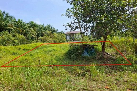 รูปที่ดินว่างเปล่า ขนอม ขนอม นครศรีธรรมราช