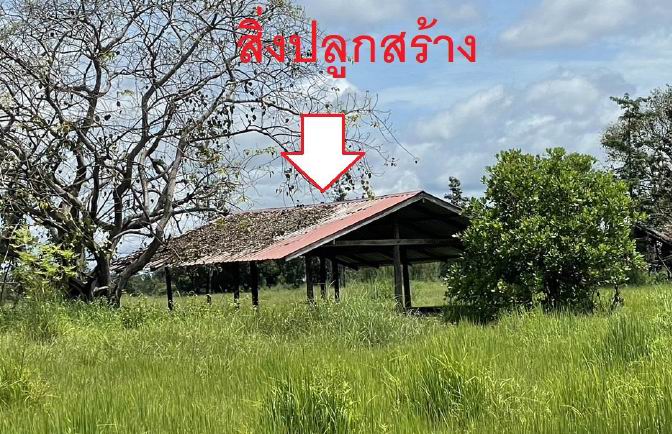 รูปที่ดินพร้อมสิ่งปลูกสร้าง หนองแสงใหญ่ โขงเจียม อุบลราชธานี