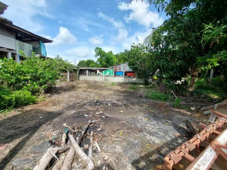 รูปที่ดินว่างเปล่า บางระกำ บางระกำ พิษณุโลก