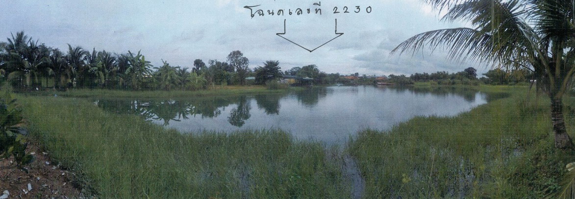 รูปที่ดินว่างเปล่า ท่าช้าง เมืองนครนายก นครนายก