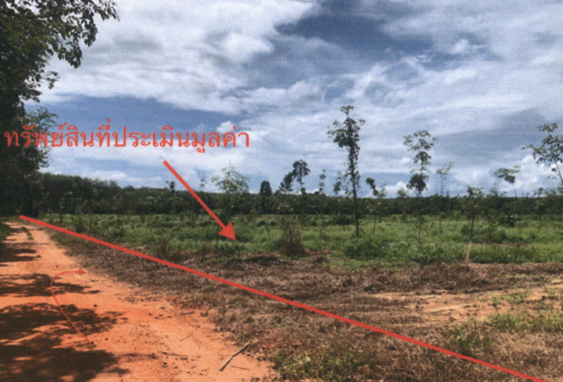 รูปที่ดินว่างเปล่า คลองไทร ท่าฉาง สุราษฎร์ธานี
