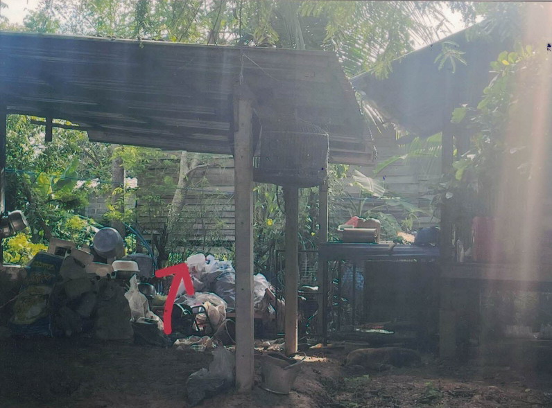 รูปที่ดินว่างเปล่า พันชนะ ด่านขุนทด นครราชสีมา