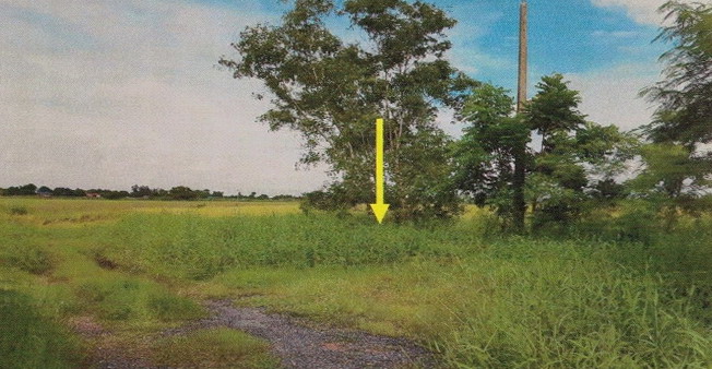 รูปที่ดินว่างเปล่า องครักษ์ องครักษ์ นครนายก