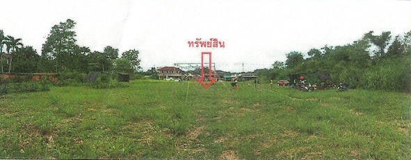 รูปที่ดินว่างเปล่า มะขามเตี้ย เมือง สุราษฎร์ธานี