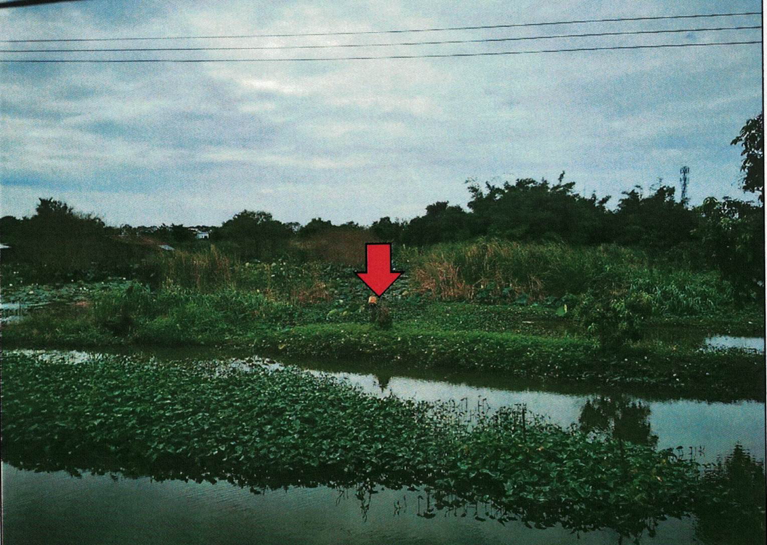 รูปที่ดินว่างเปล่า บางโฉลง บางพลี สมุทรปราการ