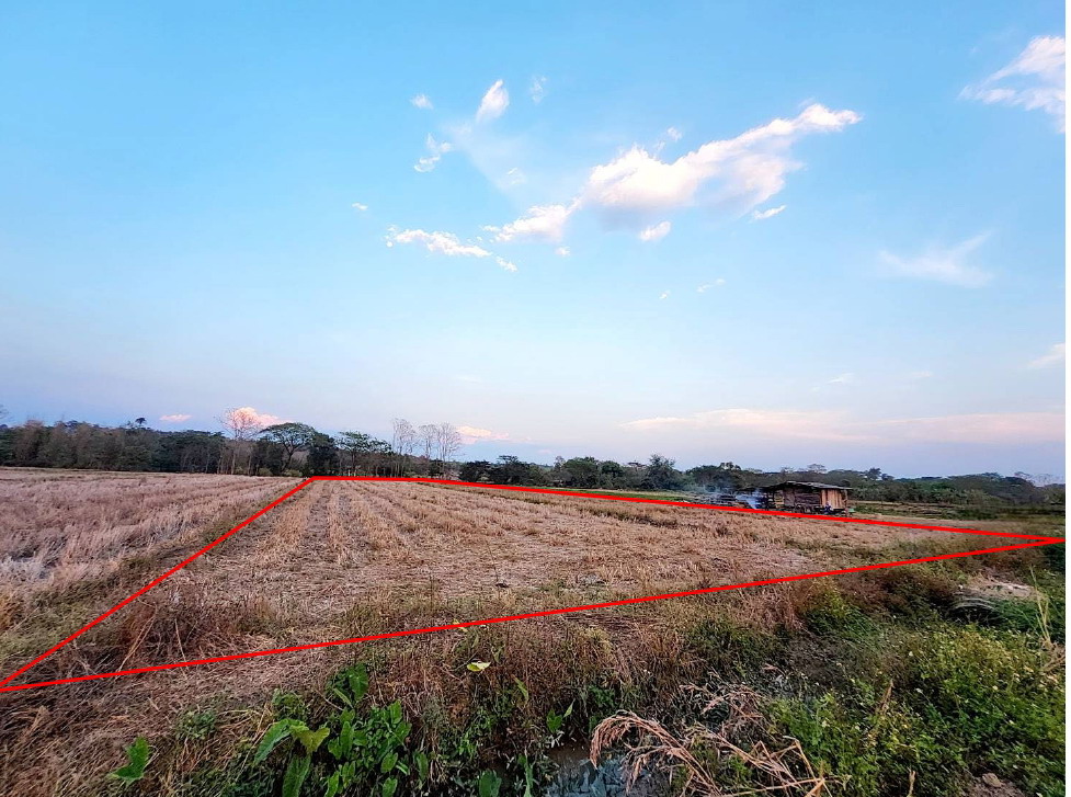 รูปที่ดินว่างเปล่า แม่กา เมืองพะเยา พะเยา