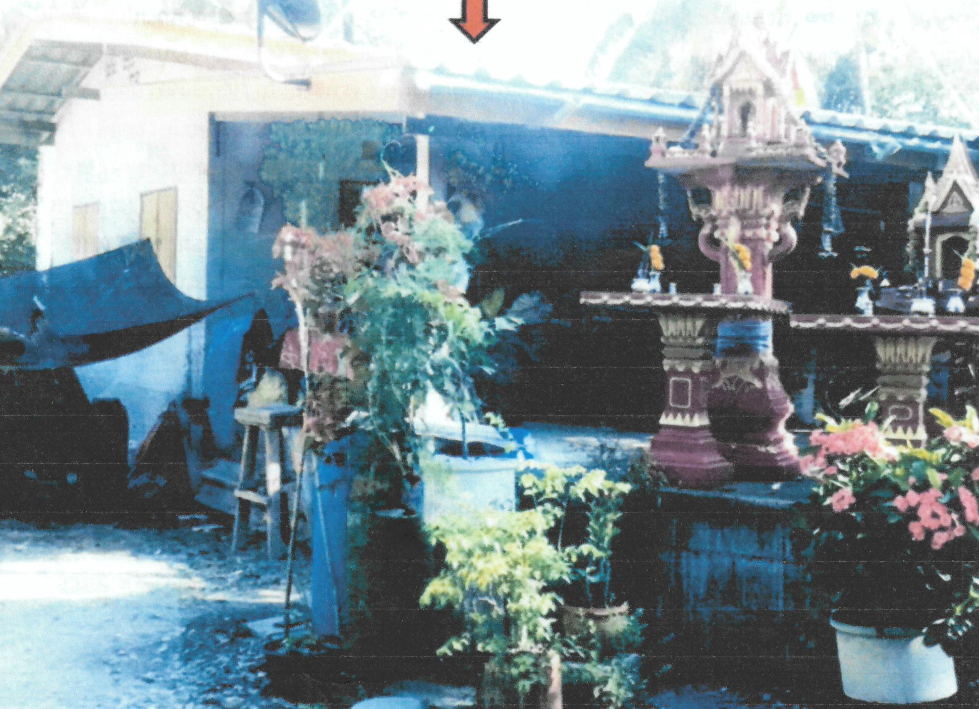 รูปที่ดินพร้อมสิ่งปลูกสร้าง ชะเมา ปากพนัง นครศรีธรรมราช