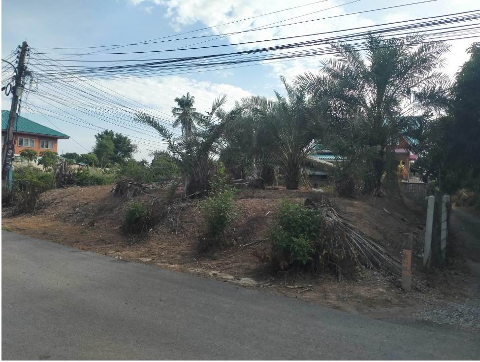 รูปที่ดินว่างเปล่า โพสะ เมืองอ่างทอง อ่างทอง