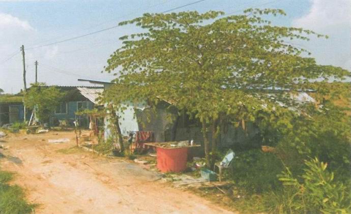 รูปที่ดินว่างเปล่า โสธร เมืองฉะเชิงเทรา ฉะเชิงเทรา