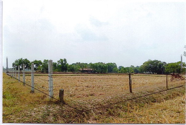 รูปที่ดินว่างเปล่า รอบเมือง เมืองร้อยเอ็ด ร้อยเอ็ด