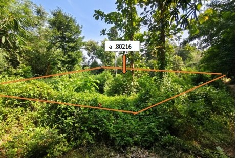 รูปที่ดินว่างเปล่า คลองขาม ยางตลาด กาฬสินธุ์