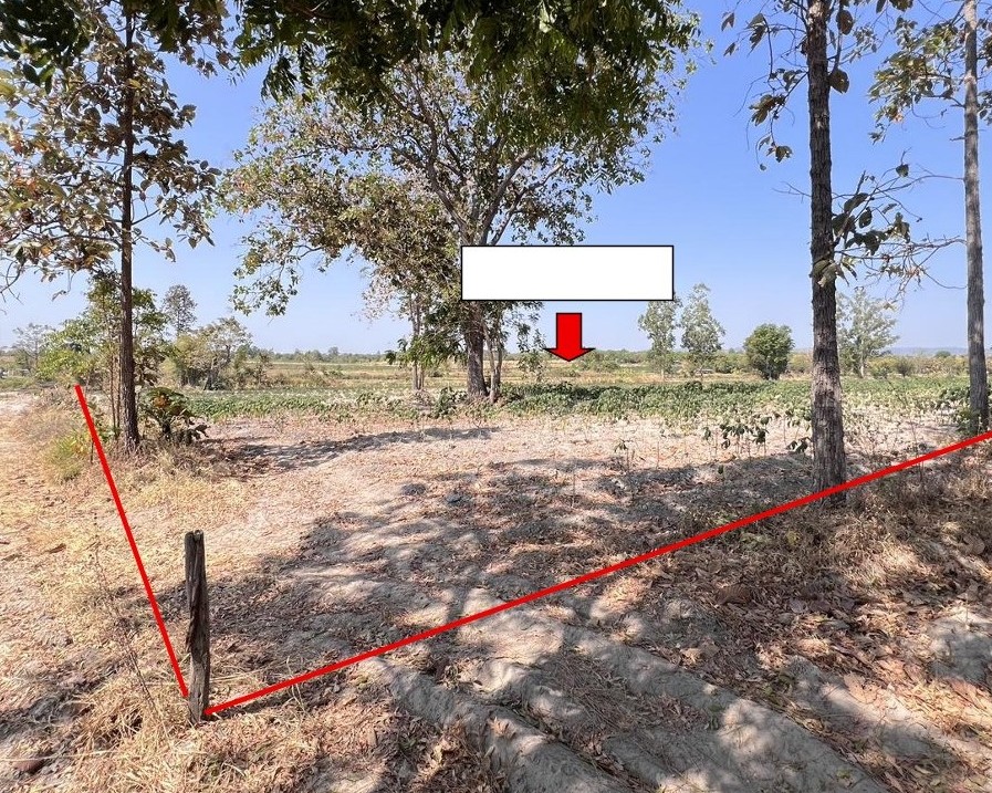 รูปที่ดินว่างเปล่า ศรีสุขสำราญ อุบลรัตน์ ขอนแก่น