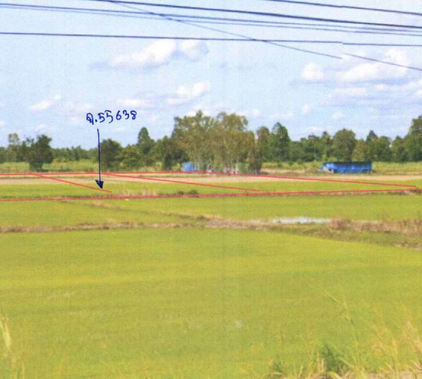 รูปที่ดินว่างเปล่า บางระกำ บางระกำ พิษณุโลก