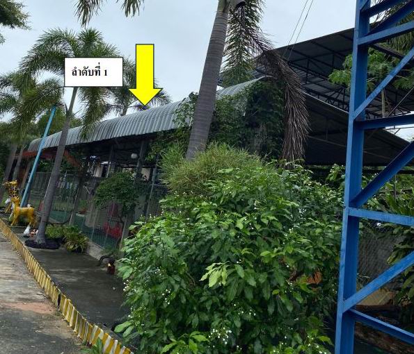 รูปที่ดินพร้อมสิ่งปลูกสร้าง หนองแสง วาปีปทุม มหาสารคาม