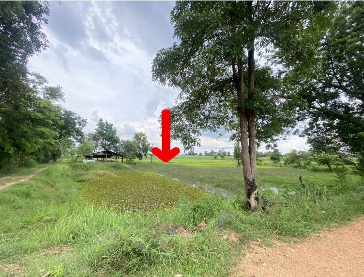 รูปที่ดินว่างเปล่า หนองกุง น้ำพอง ขอนแก่น