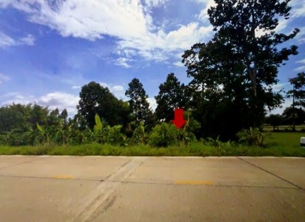 รูปที่ดินว่างเปล่า ลำชี ฆ้องชัย กาฬสินธุ์