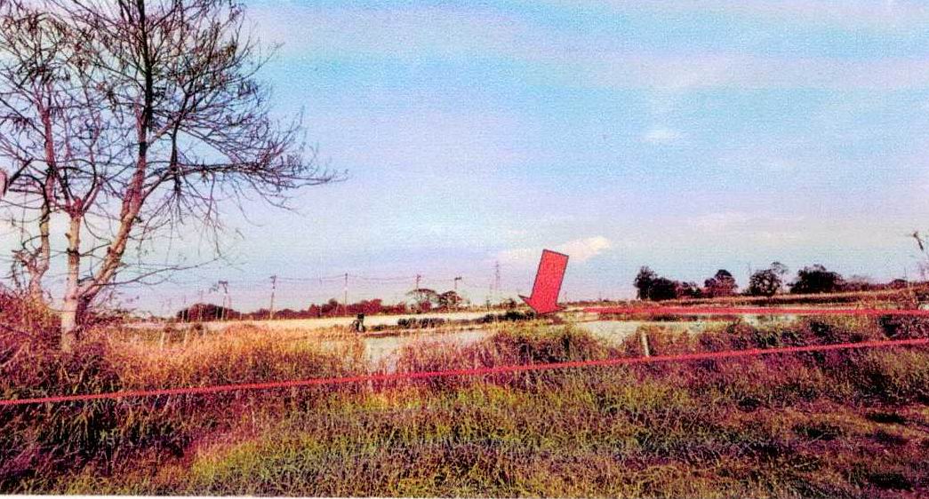 รูปที่ดินว่างเปล่า บางนาง ท่าตะกูด ชลบุรี