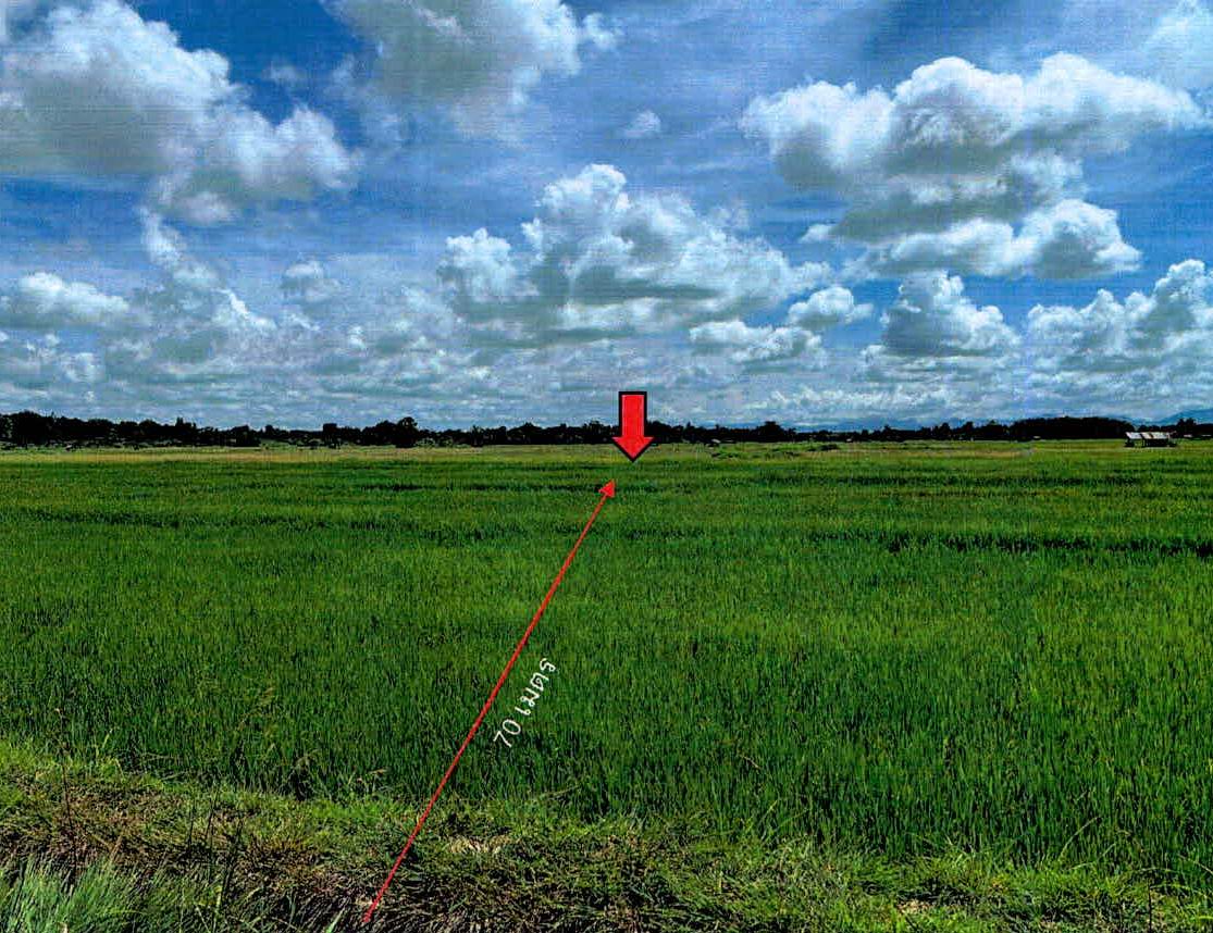 รูปที่ดินว่างเปล่า ป่าตัน แม่ทะ ลำปาง