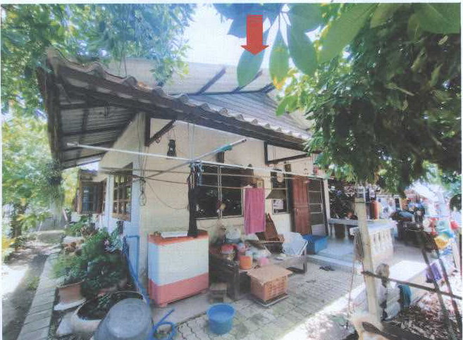 รูปที่ดินพร้อมสิ่งปลูกสร้าง หนองตอง หางดง เชียงใหม่