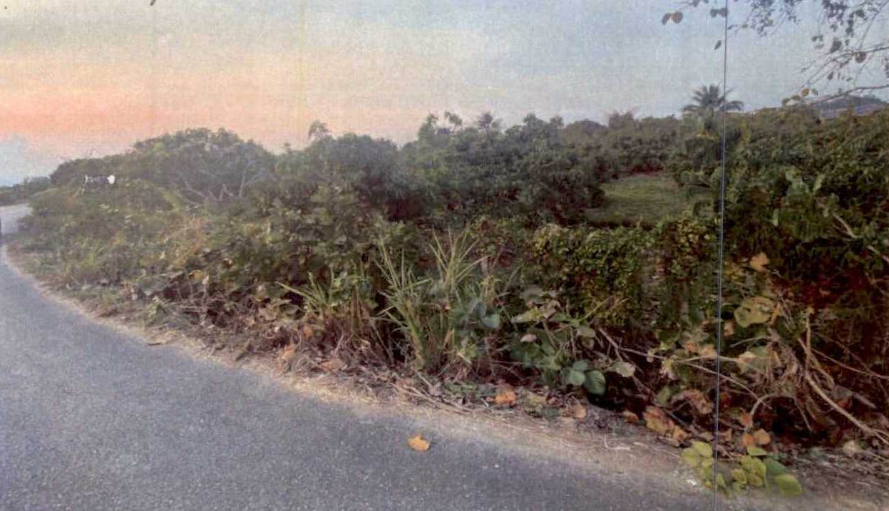 รูปที่ดินว่างเปล่า ทุ่งต้อม สันป่าตอง เชียงใหม่