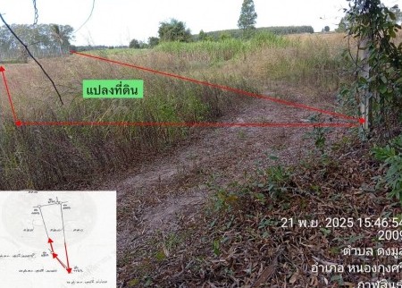 รูปที่ดินว่างเปล่า หนองบัว หนองกุงศรี กาฬสินธุ์