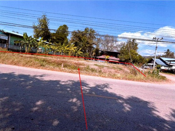รูปที่ดินว่างเปล่า ดอนทอง เมืองพิษณุโลก พิษณุโลก