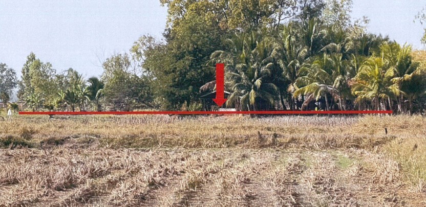 รูปที่ดินว่างเปล่า อุ่มจาน ประจักษ์ศิลปาคม อุดรธานี