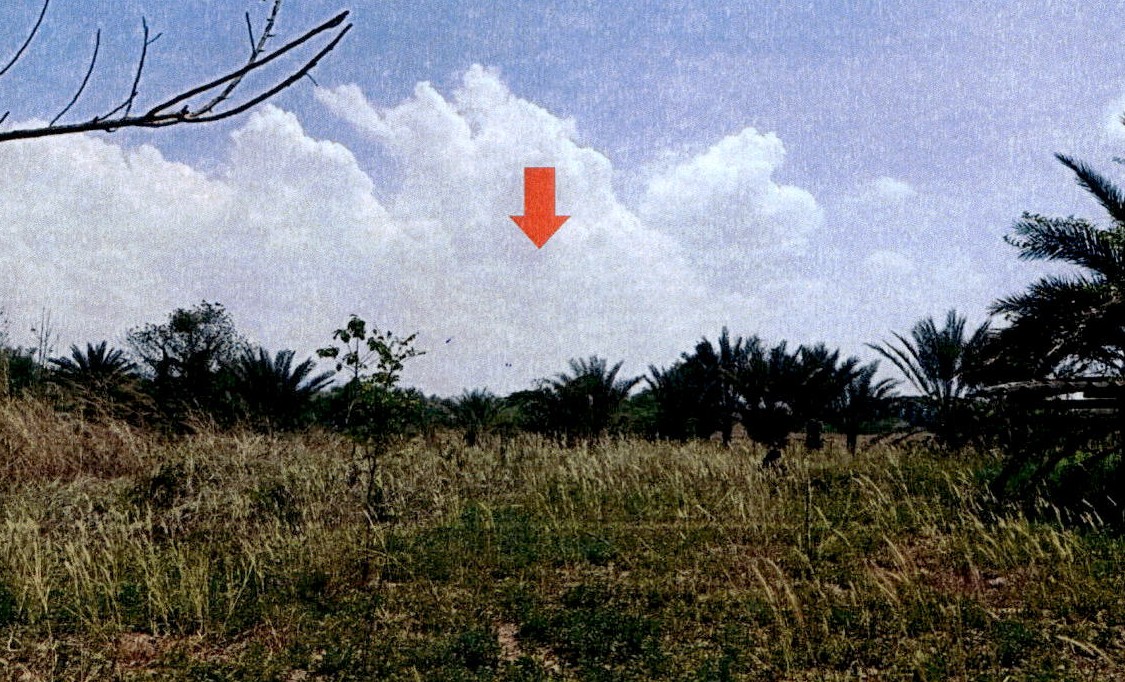 รูปที่ดินว่างเปล่า นาสัก แม่เมาะ ลำปาง