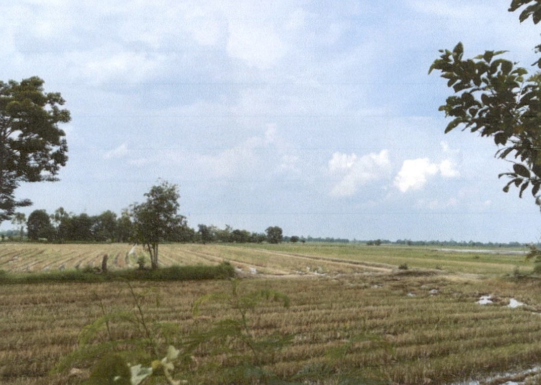 รูปที่ดินว่างเปล่า ลำชี ฆ้องชัย กาฬสินธุ์