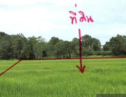 รูปที่ดินว่างเปล่า หัวนาคำ ศรีธาตุ อุดรธานี