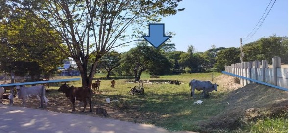 รูปที่ดินว่างเปล่า โนนหวาย หนองวัวซอ อุดรธานี