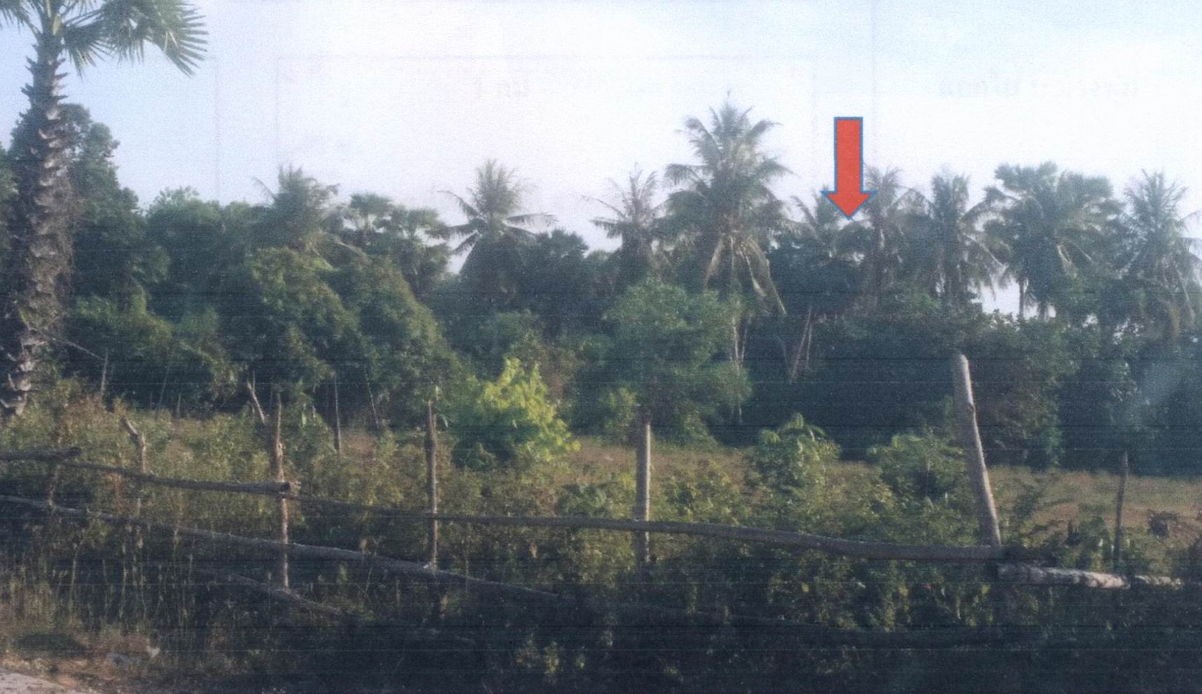 รูปที่ดินว่างเปล่า ม่วงงาม สิงหนคร สงขลา