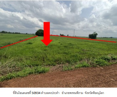 รูปที่ดินว่างเปล่า ดงประคำ พรหมพิราม พิษณุโลก