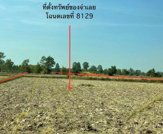 รูปที่ดินว่างเปล่า เมยวดี เมยวดี ร้อยเอ็ด
