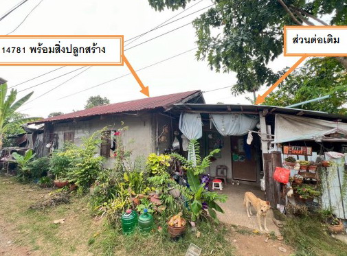 รูปที่ดินพร้อมสิ่งปลูกสร้าง หลักเมือง กมลาไสย กาฬสินธุ์