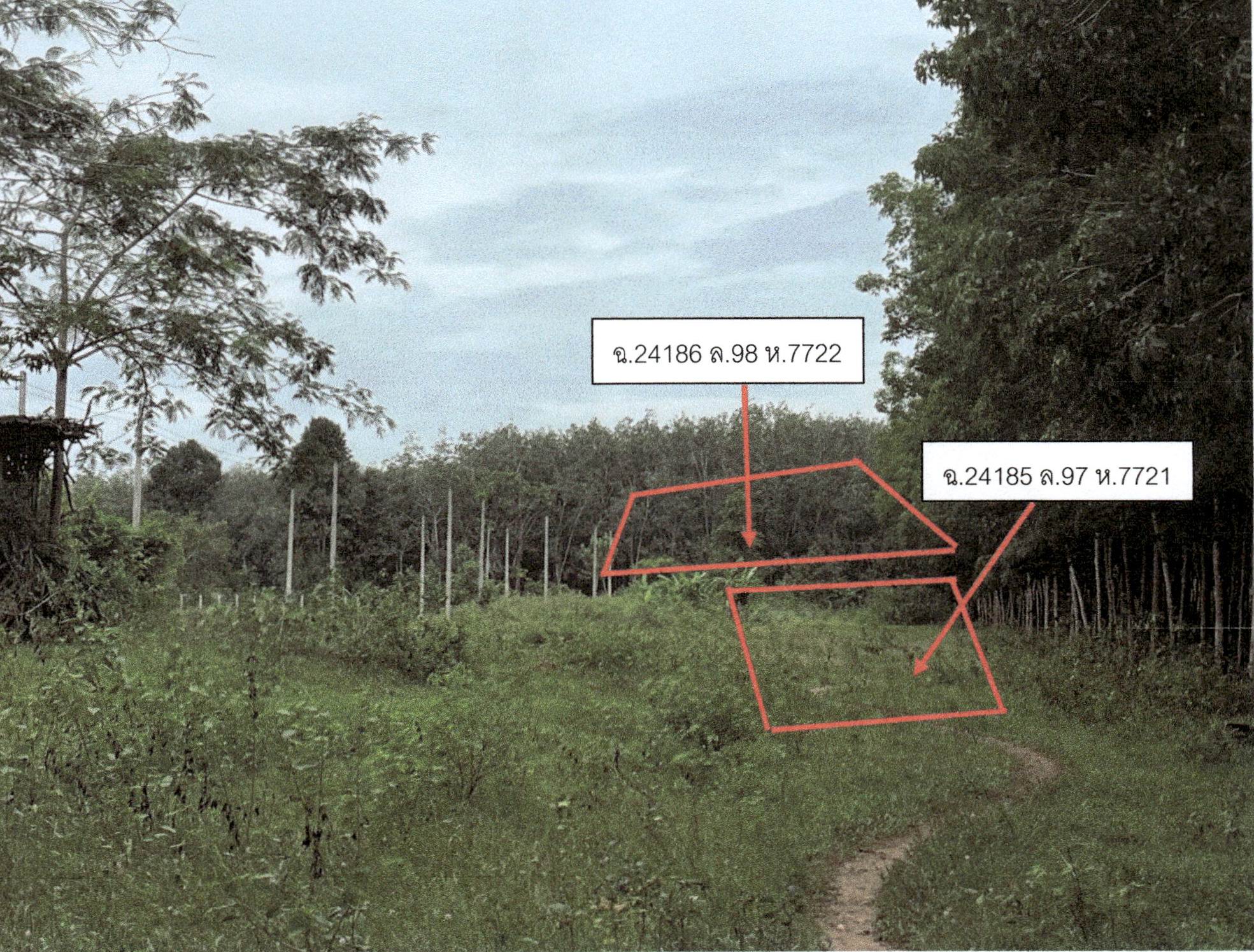 รูปที่ดินว่างเปล่า ทุ่งลาน คลองหอยโข่ง สงขลา