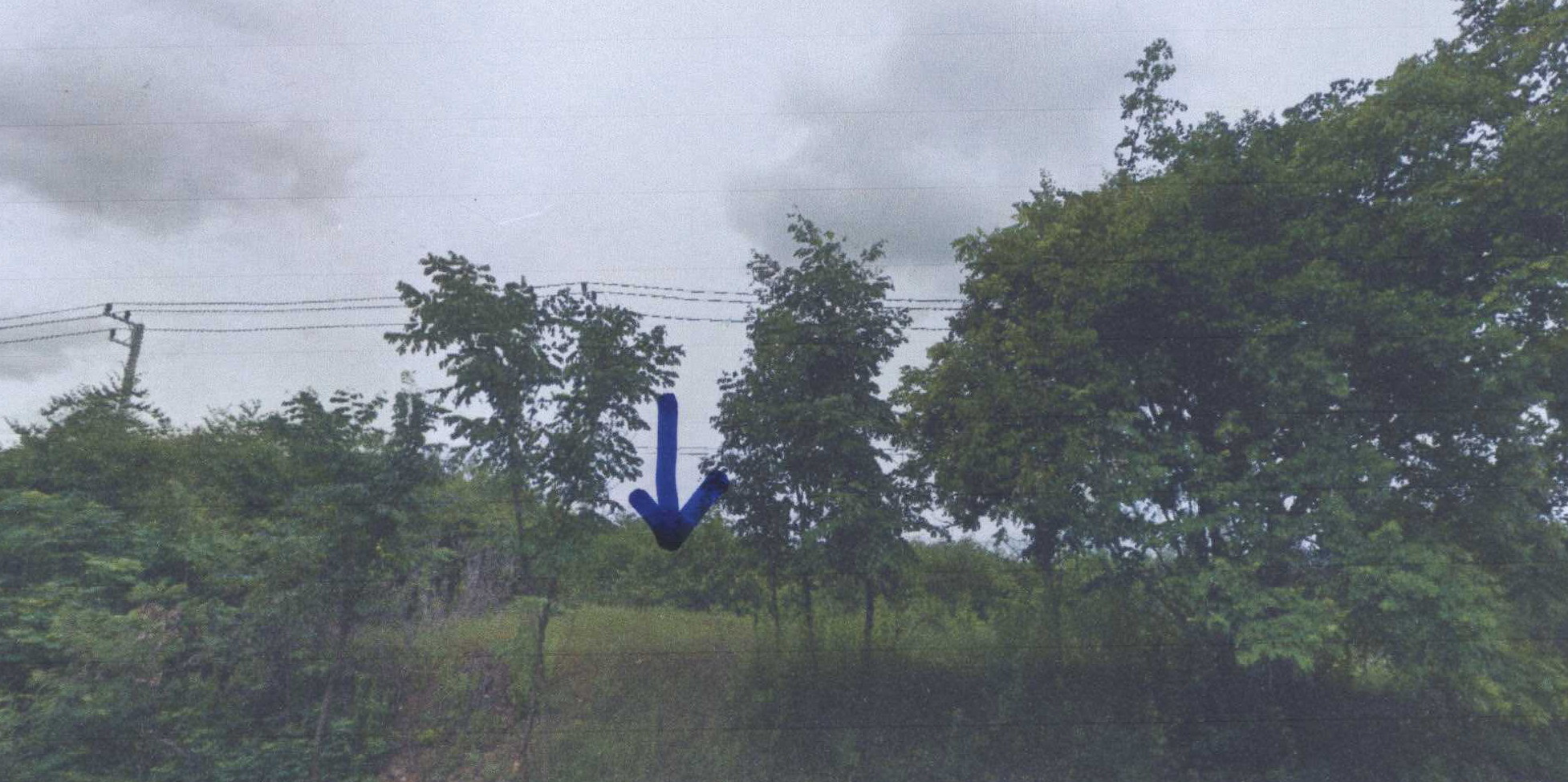 รูปที่ดินว่างเปล่า เด่นเหล็ก น้ำปาด อุตรดิตถ์