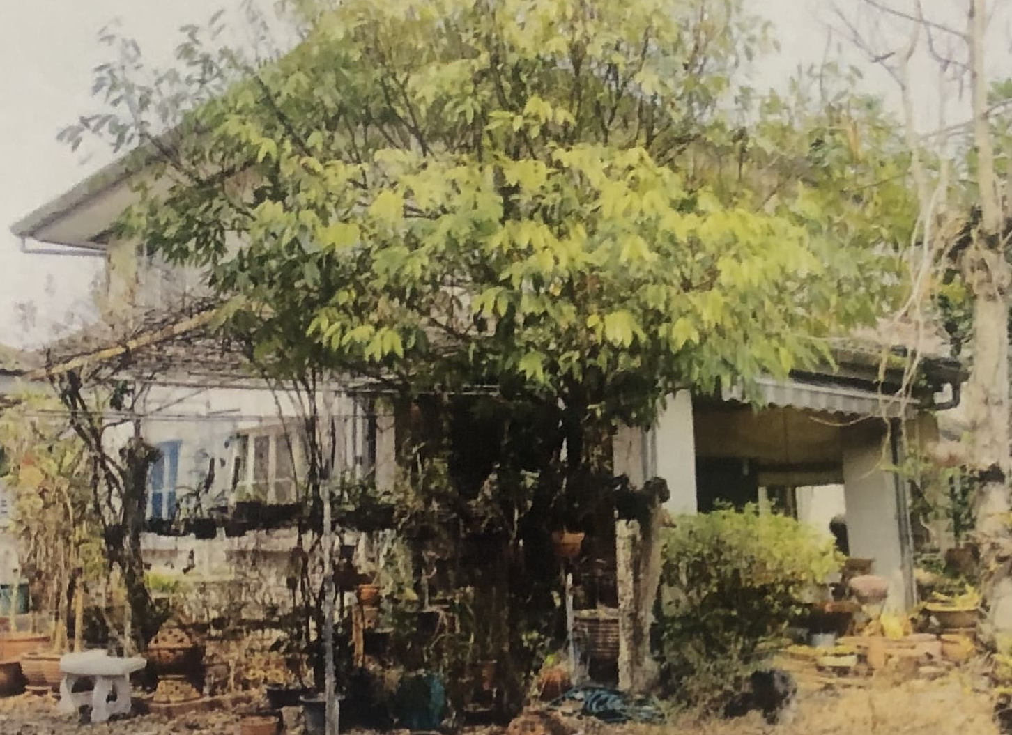 รูปที่ดินพร้อมสิ่งปลูกสร้าง หนองหาร สันทราย เชียงใหม่