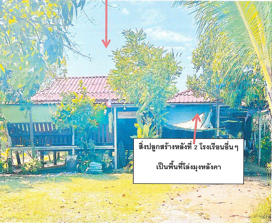 รูปที่ดินพร้อมสิ่งปลูกสร้าง ปากพระ เมืองสุโขทัย สุโขทัย