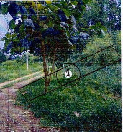 รูปที่ดินว่างเปล่า เกาะโพธิ์ ปากพลี นครนายก