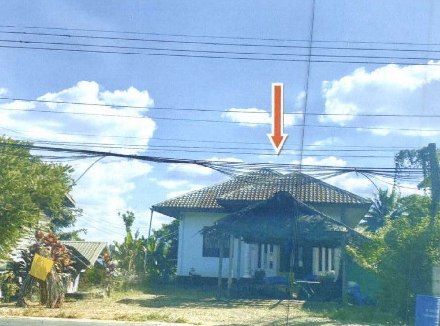 รูปที่ดินพร้อมสิ่งปลูกสร้าง โคกมะม่วง ปะคำ บุรีรัมย์