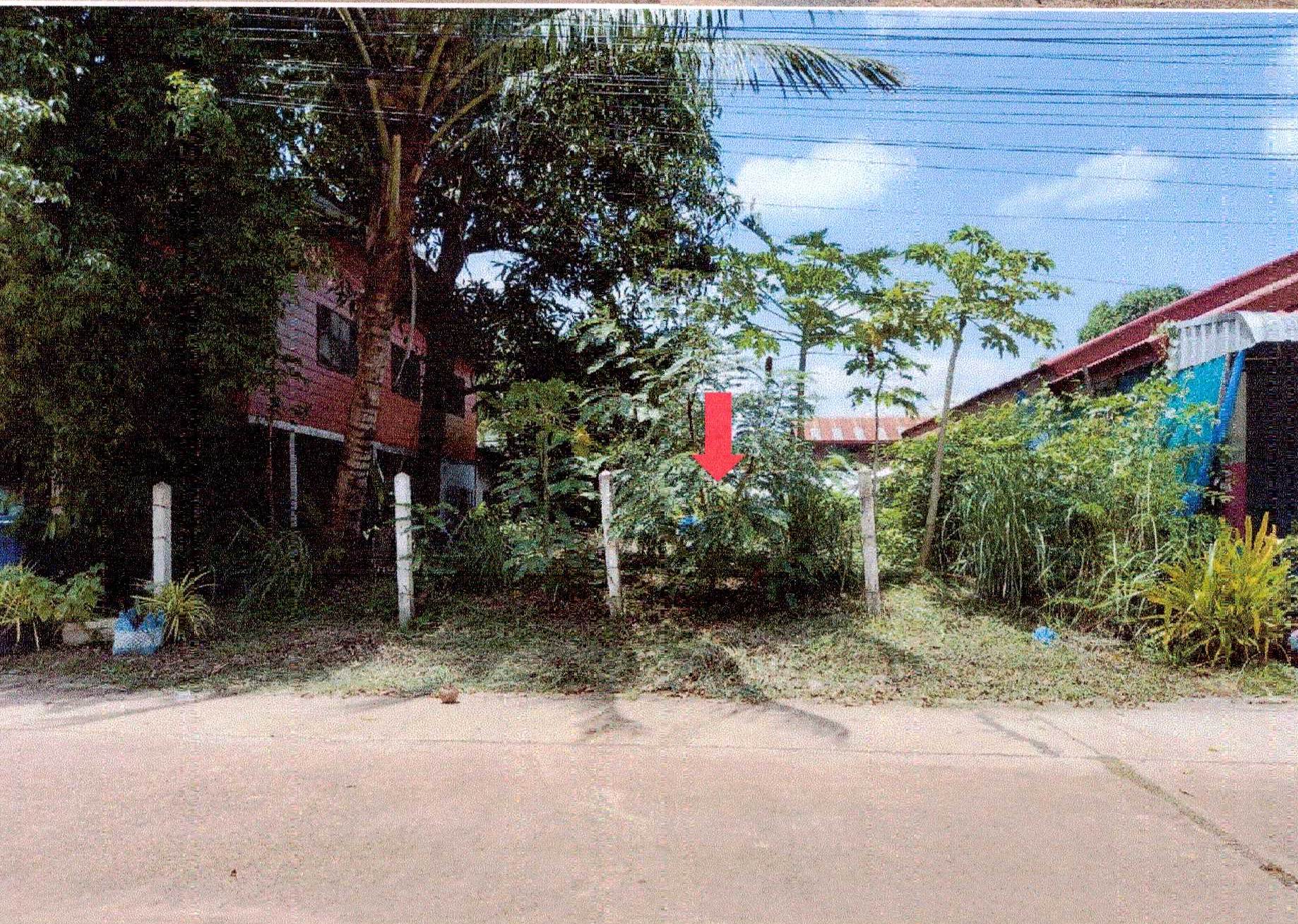 รูปที่ดินว่างเปล่า ดอนหญ้านาง พรเจริญ บึงกาฬ