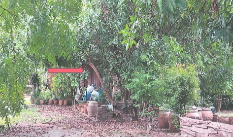 รูปที่ดินพร้อมสิ่งปลูกสร้าง พรานกระต่าย พรานกระต่าย กำแพงเพชร