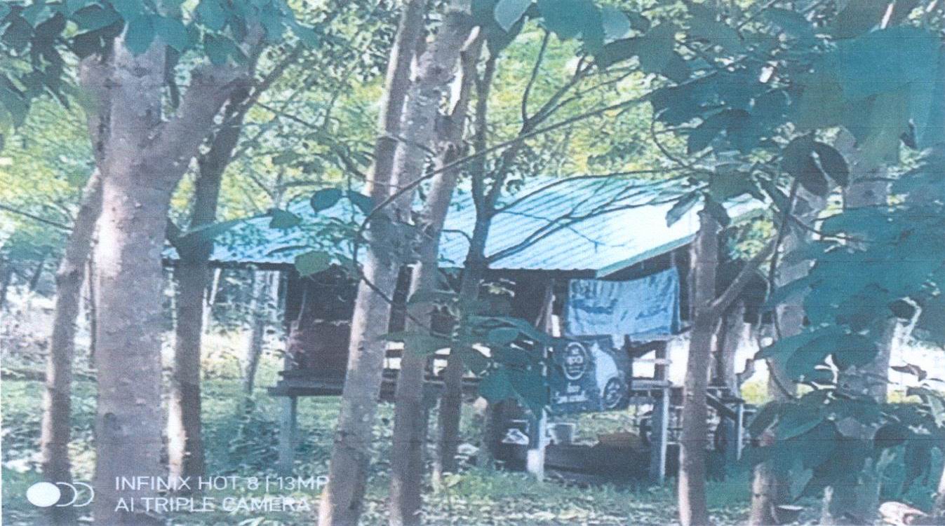 รูปที่ดินพร้อมสิ่งปลูกสร้าง แก้งกอก ศรีเมืองใหม่ อุบลราชธานี