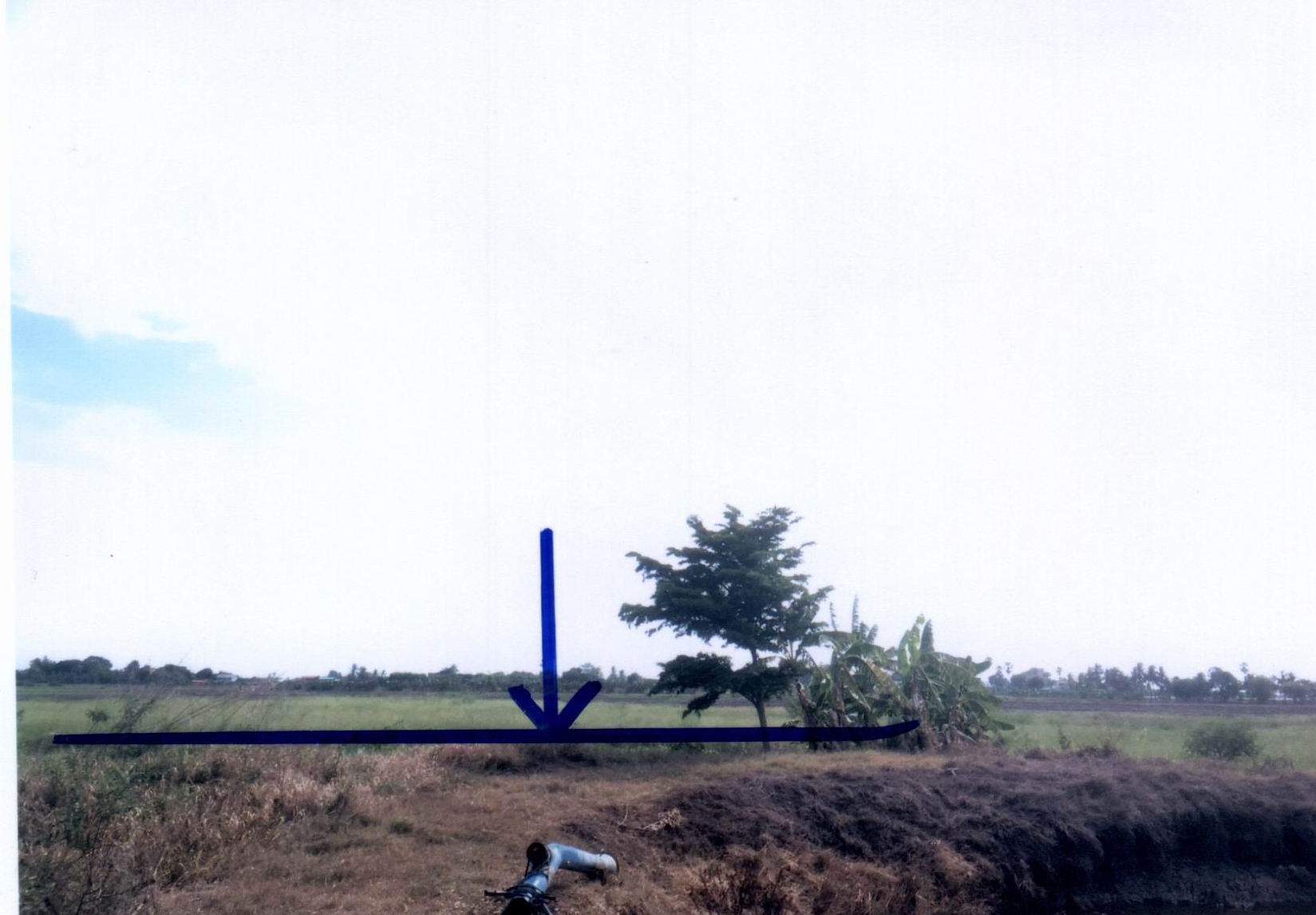 รูปที่ดินว่างเปล่า ละแก้ว วิเศษไชยชาญ อ่างทอง