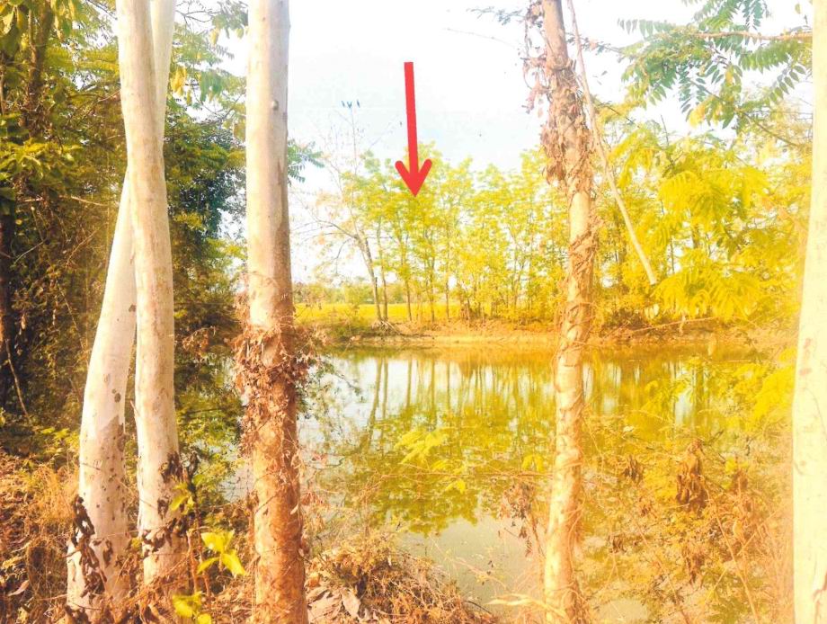 รูปที่ดินว่างเปล่า ไกรใน กงไกรลาศ สุโขทัย