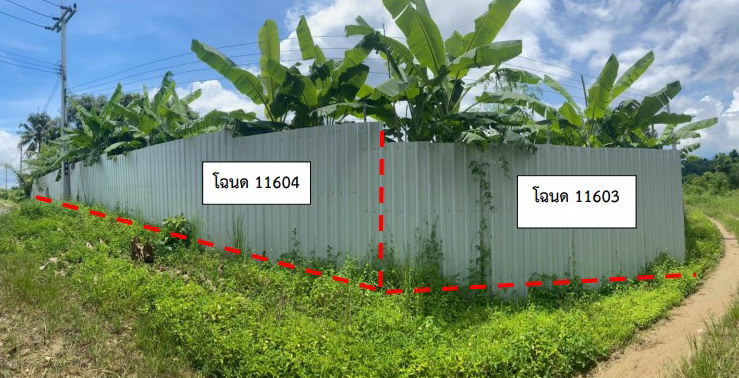 รูปที่ดินว่างเปล่า แม่สูน ฝาง เชียงใหม่