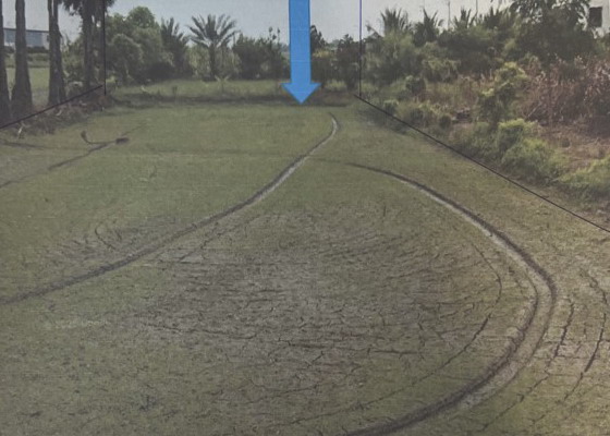 รูปที่ดินว่างเปล่า คลองสิบ หนองจอก กรุงเทพมหานคร